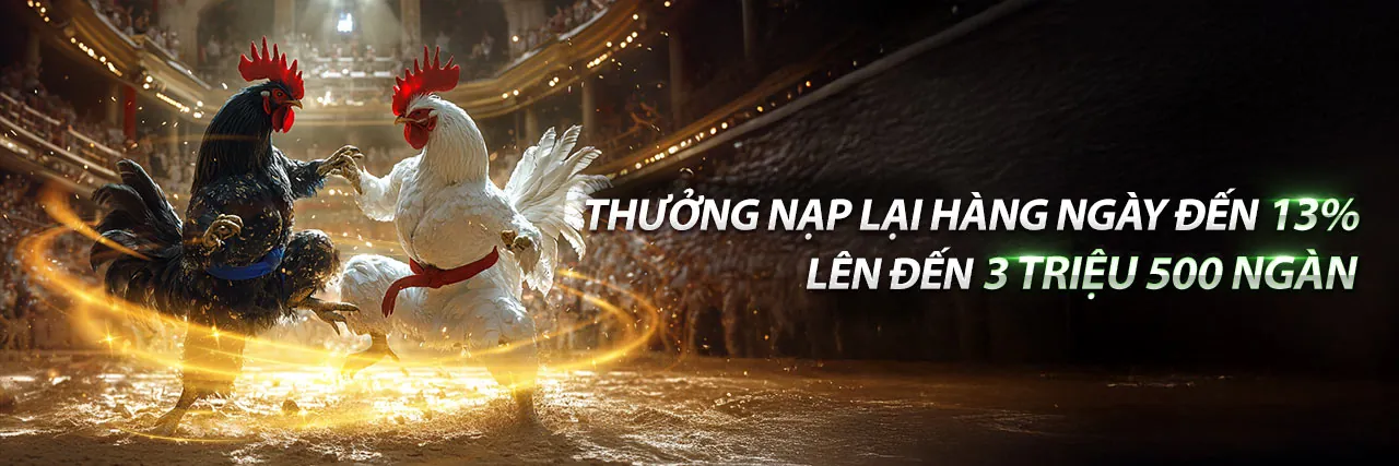 Đá Gà Trực Tuyến Hấp Dẫn trên Ứng Dụng 22bet Android